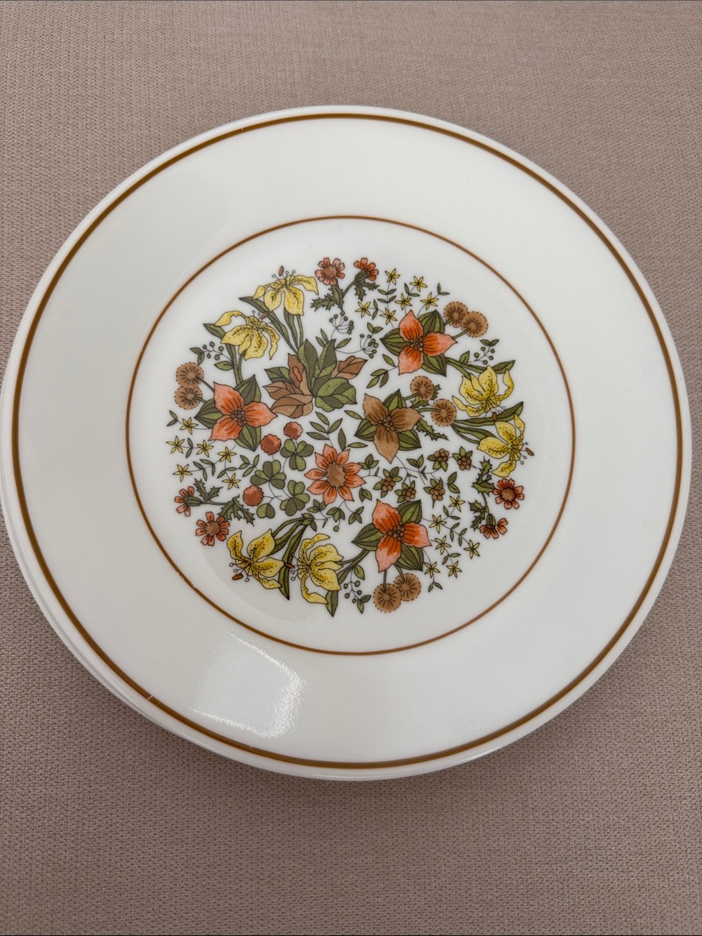 Set of 6 Corelle by Corning Indian Summer Vintage 8.5” Plates